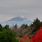 山小屋アルバイト情報