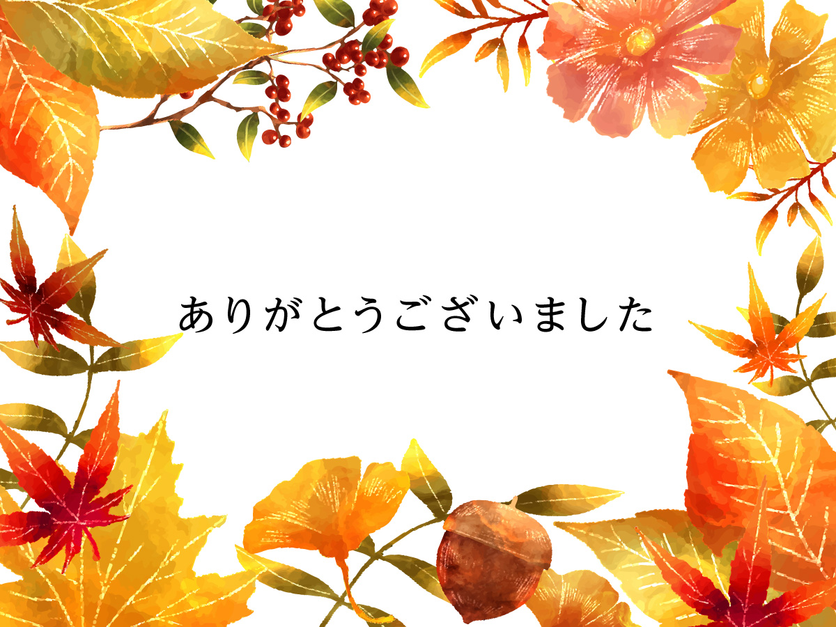 サイトリニューアルのご案内